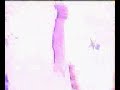 Garou Densetsu Special CM Andy spot Garou Densetsu Special CM Andy spot