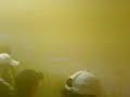 AIK - Hammarby 080825