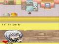 Harvest Moon DS Cute: Birth Event with Skye