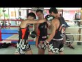 Tiger Muay Thai Techniques: Push kick to set up right over hand cross to face