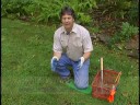 Nomol  Mole Trap Setting
