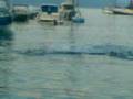 videos de Che Tori !!!