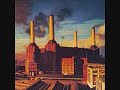 Pink Floyd-Sheep