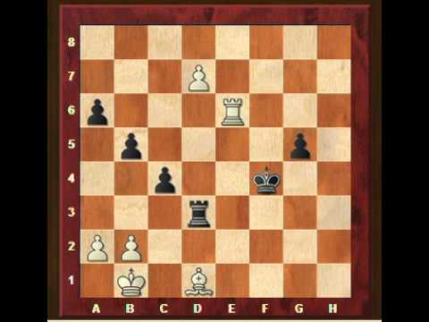 chess knight