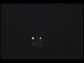 Alligators in NightVision Alligators in NightVision