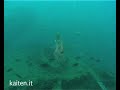 RELITTO EVDOKIA II RELITTO EVDOKIA II