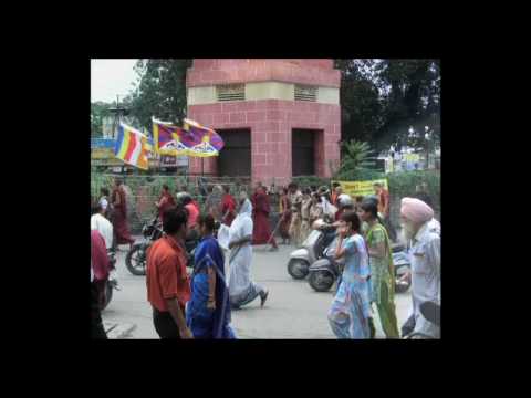 See video See video