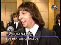 Los Escarabajos