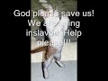 Save the kittens