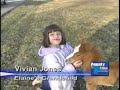 Mini-Horse TV Package Mini-Horse TV Package