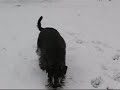 Sneeuw