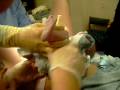 videos de morgan being born