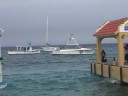Dive Travel - Cozumel - Drift Scuba Diving