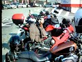 美女　美人　ER6R　ZZR1200　VS CBR1100XX 　XL1200R