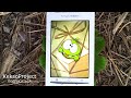 KeksoProject. Обзор Cut the Rope Experiments для Android.