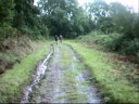 Haldon Forest Red Route Part 2