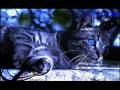 videos de Jayfeather ~Evil Angel~