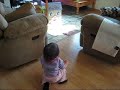 Persiguiendo al gato