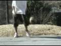 kryptonite freestyle