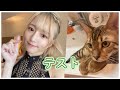【テスト】すこしだけ