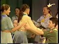 Stokrotka Polna Stokrotka Polna