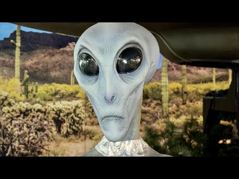 Tourist Trap Trip Tips! Part 12