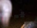 Actual Photo of a Real Ghostly Apparition in Ronkonkoma