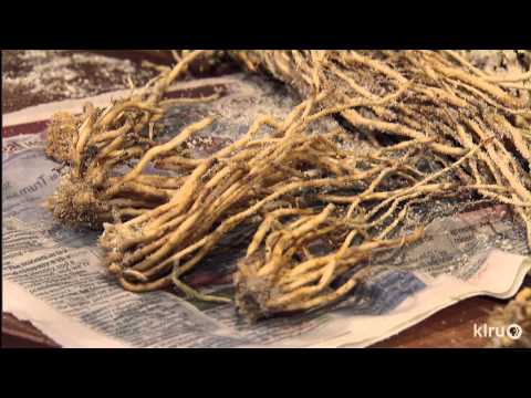 how to fertilize asparagus