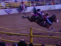 Bareback Bronc Riding 2