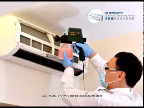 how to eliminate biofilm