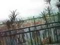 Trip to Enchanted Kingdom Part 4/11