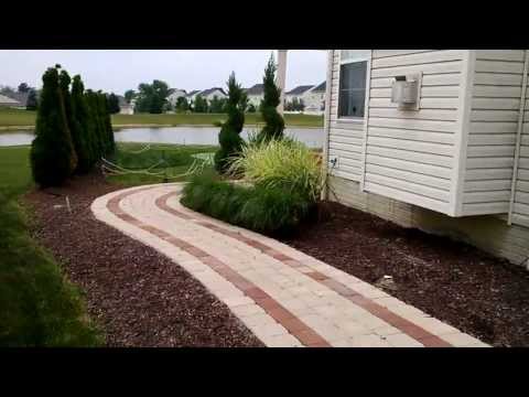 how to fertilize fountain grass