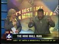 Flea Market Fox 6