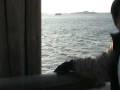 videos de NY Trip