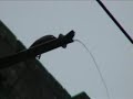Lluvia en Coruña y Pontedeume Lluvia en Coruña y Pontedeume