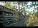 Begginer mtb trailer