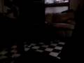 videos de Peck Hates Tonic round 2