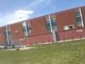 flying kites 2