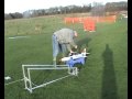 Kolibri turbine powered Multiplex Twister jet first outing