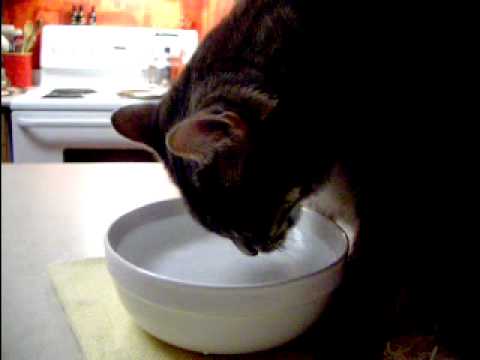 Farley loves his water