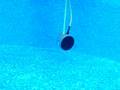 OCEANEARS Diver Signaling Device