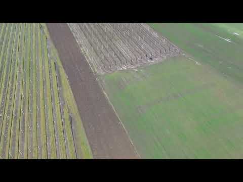 У ПОНЕДЕЉАК 2. МАРТА ЈАВНИ ПОЗИВ ЗА СУБВЕНЦИЈЕ ПО ХЕКТАРУ