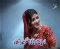 Bibi Sheerini  Pashto
