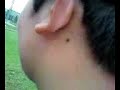 divertenti parabole