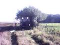 videos de Dirk in struiken