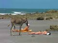 See Video