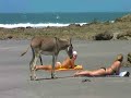 See Video