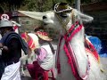 MOV00061.MP4