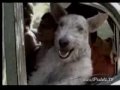 Publicidad de Quilmes - 