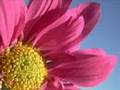 Rumi, Sufism and the spiritual path